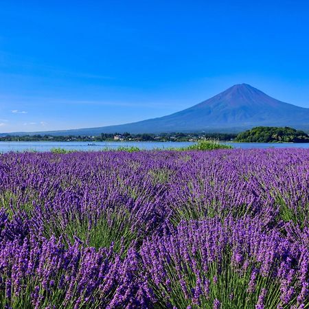 グランファーム富士河口湖 Granfarm Fujikawaguchiko Hotell Eksteriør bilde